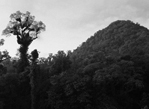 cap 12