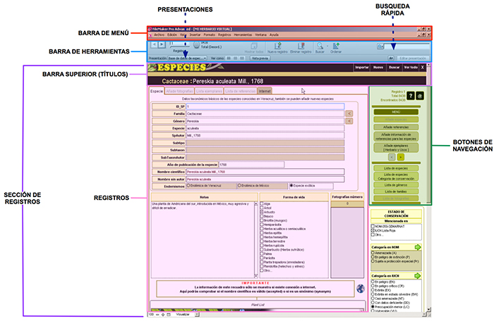 estructura de base de datos