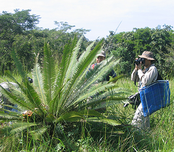 Rancho Belreguard de Xochiapa