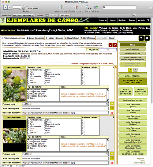 ejemplares de campo
